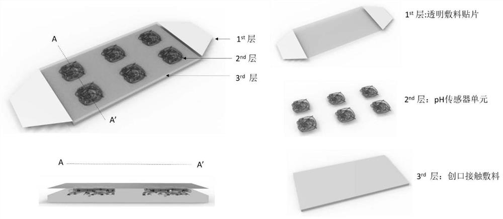 A kind of intelligent dressing and its preparation method