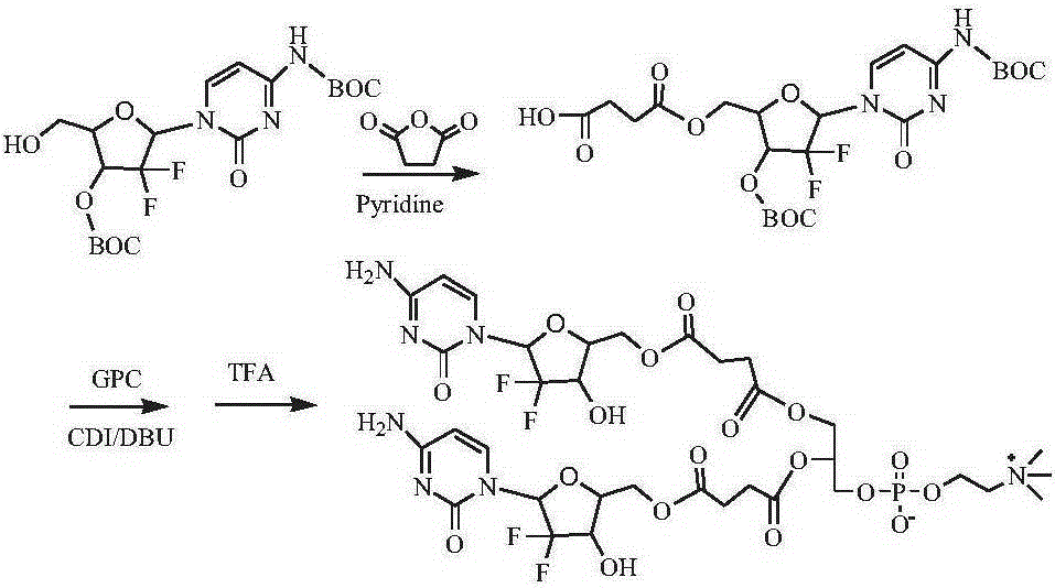 Phospholipid compound of hydrophilic drugs as well as pharmaceutical composition and application of phospholipid compound