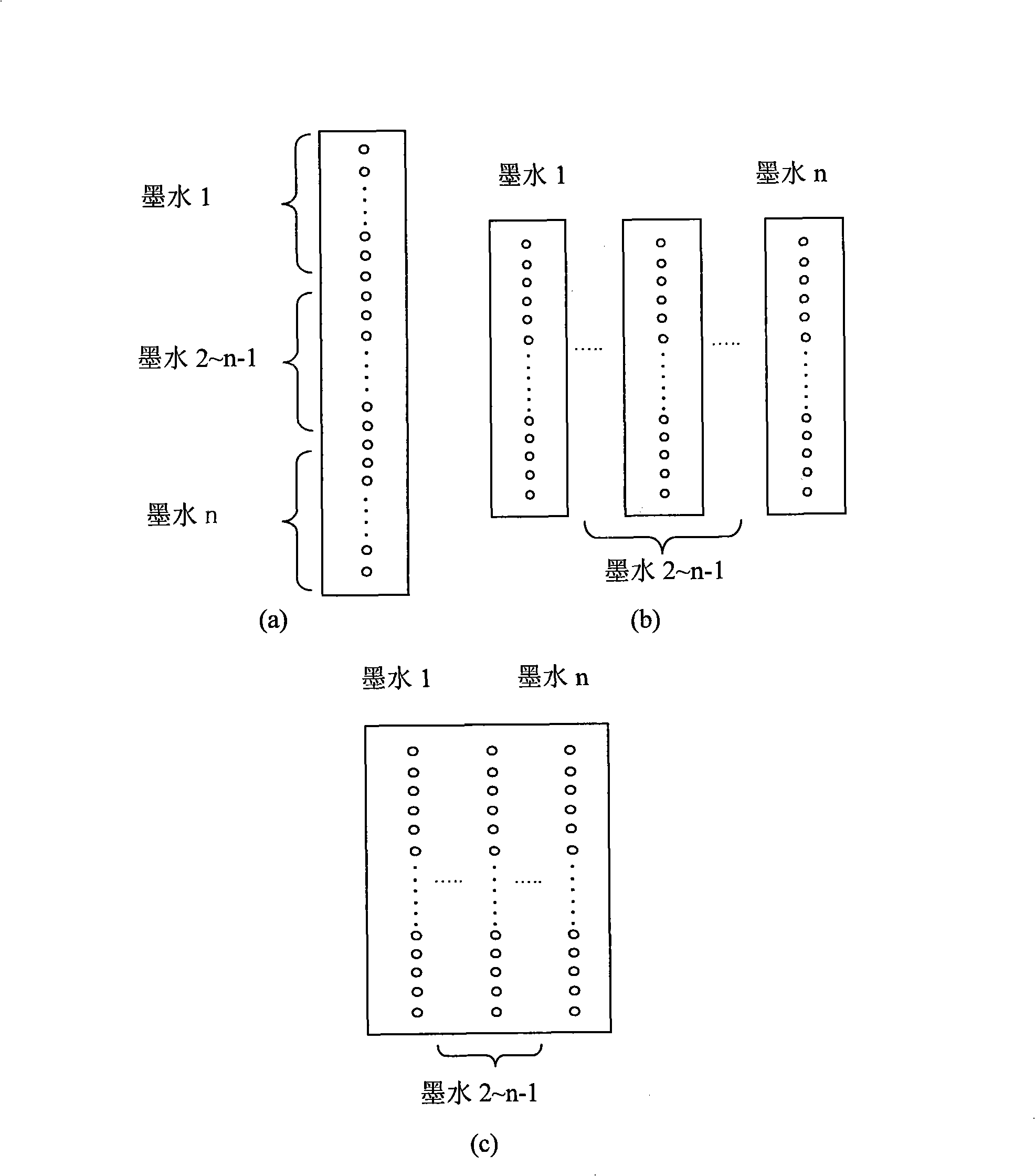 Manufacturing method and apparatus of anisotropic functional member