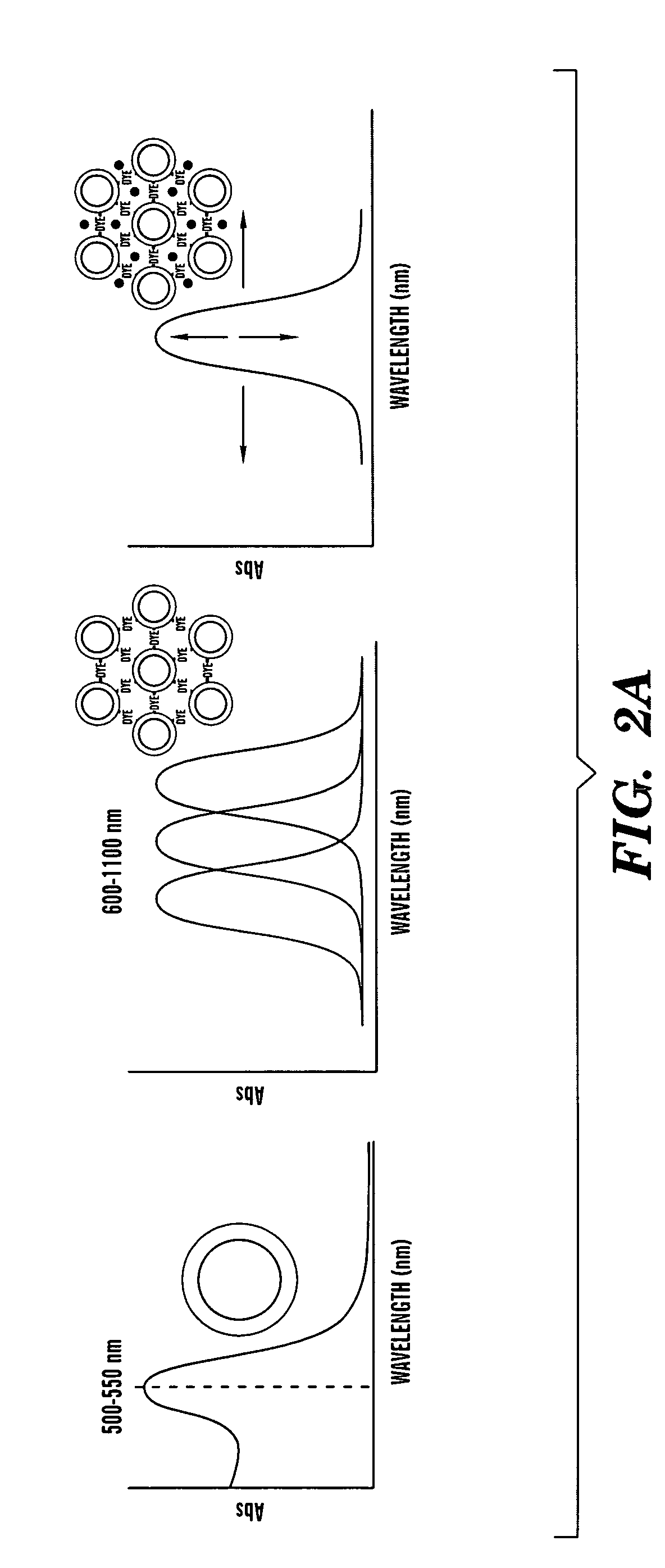 Aggregates of plural transition metal nanoparticles and plural cyanine dye molecules