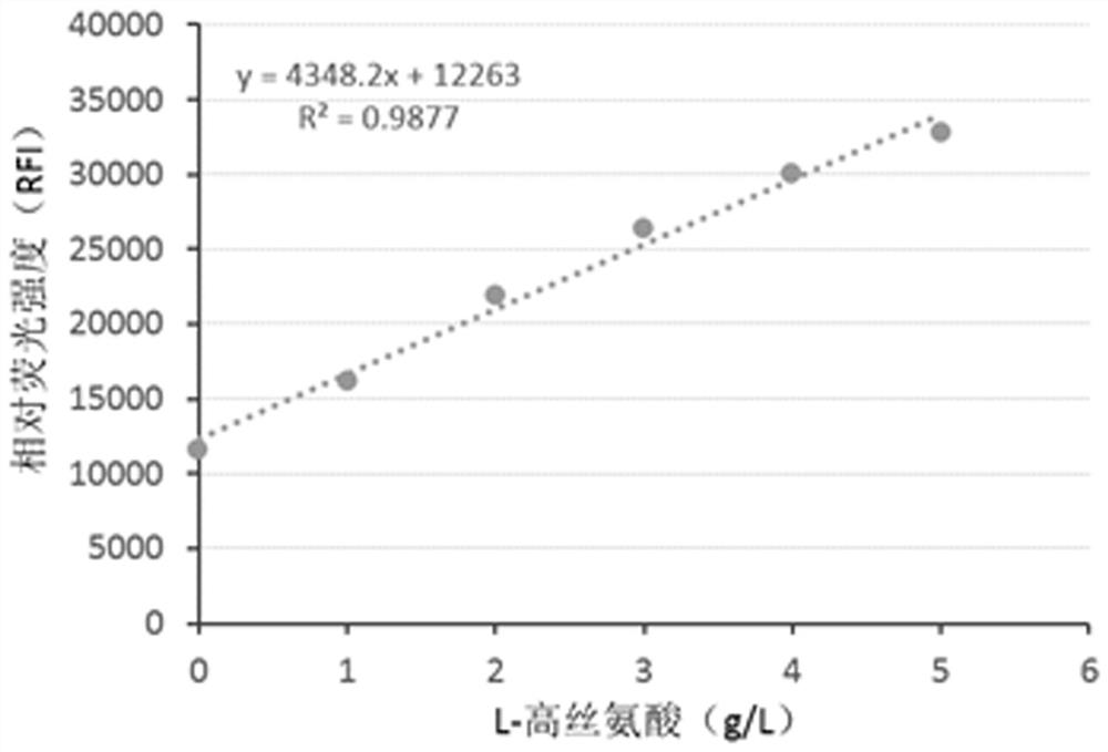 Homoserine biosensor as well as construction method and application thereof