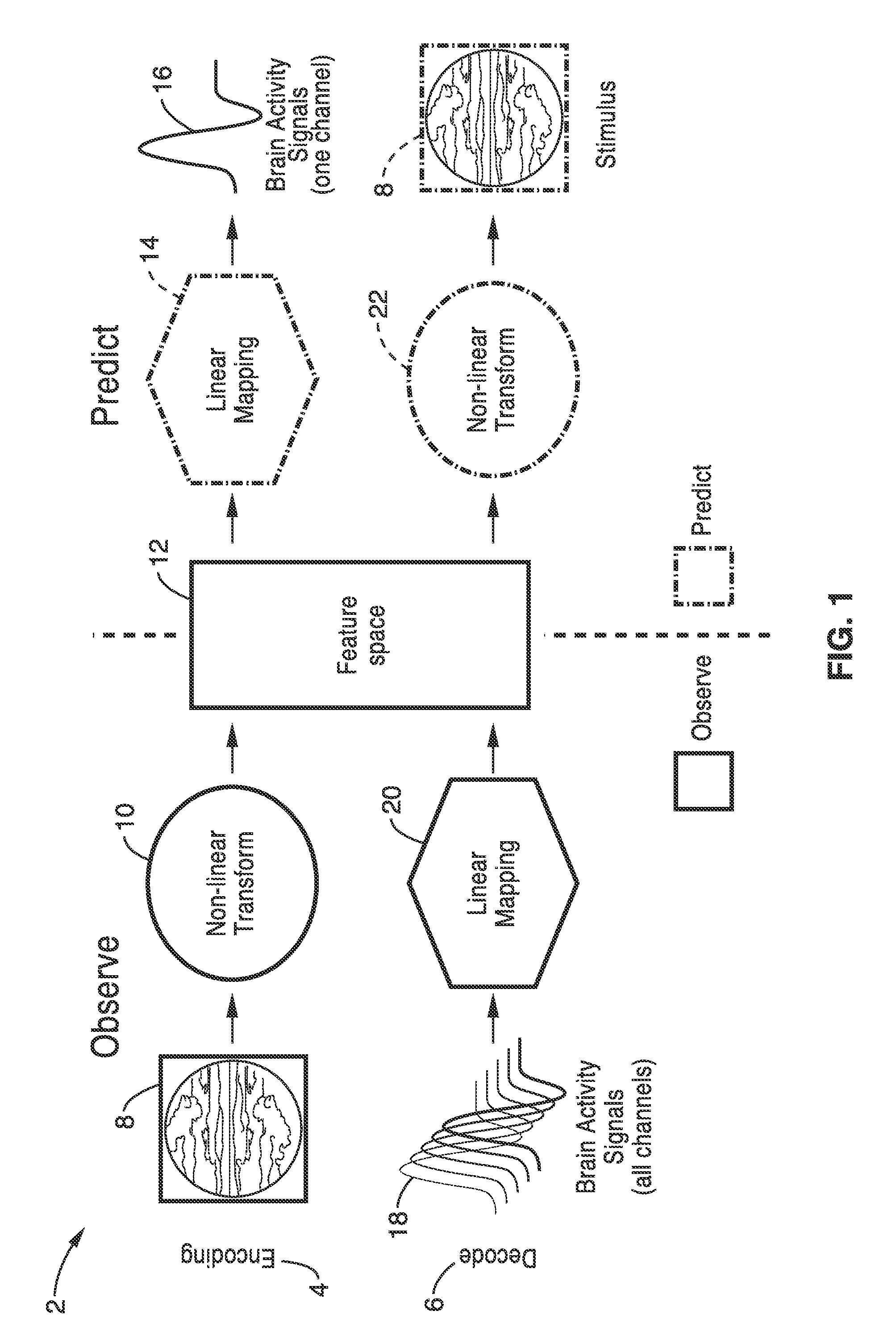 Apparatus and method for decoding sensory and cognitive information from brain activity