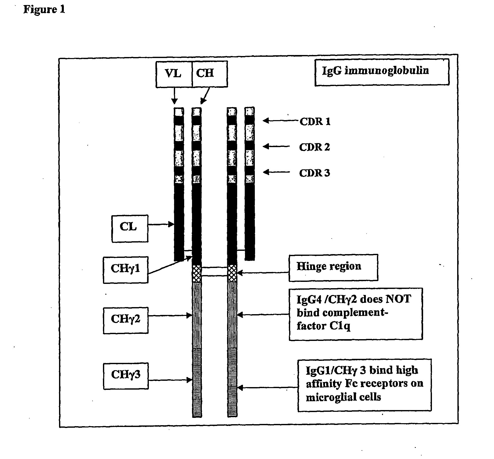 Protofibril selective antibodies and the use thereof