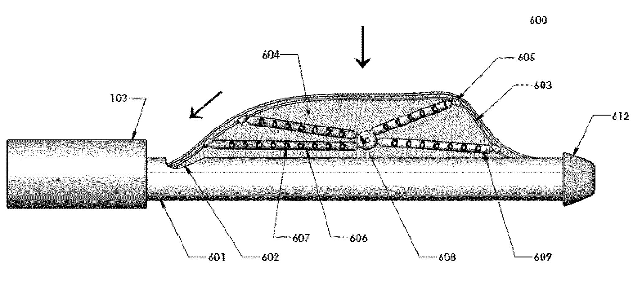 Endoscopic system for lung biopsy and biopsy method of insufflating gas to collapse a lung