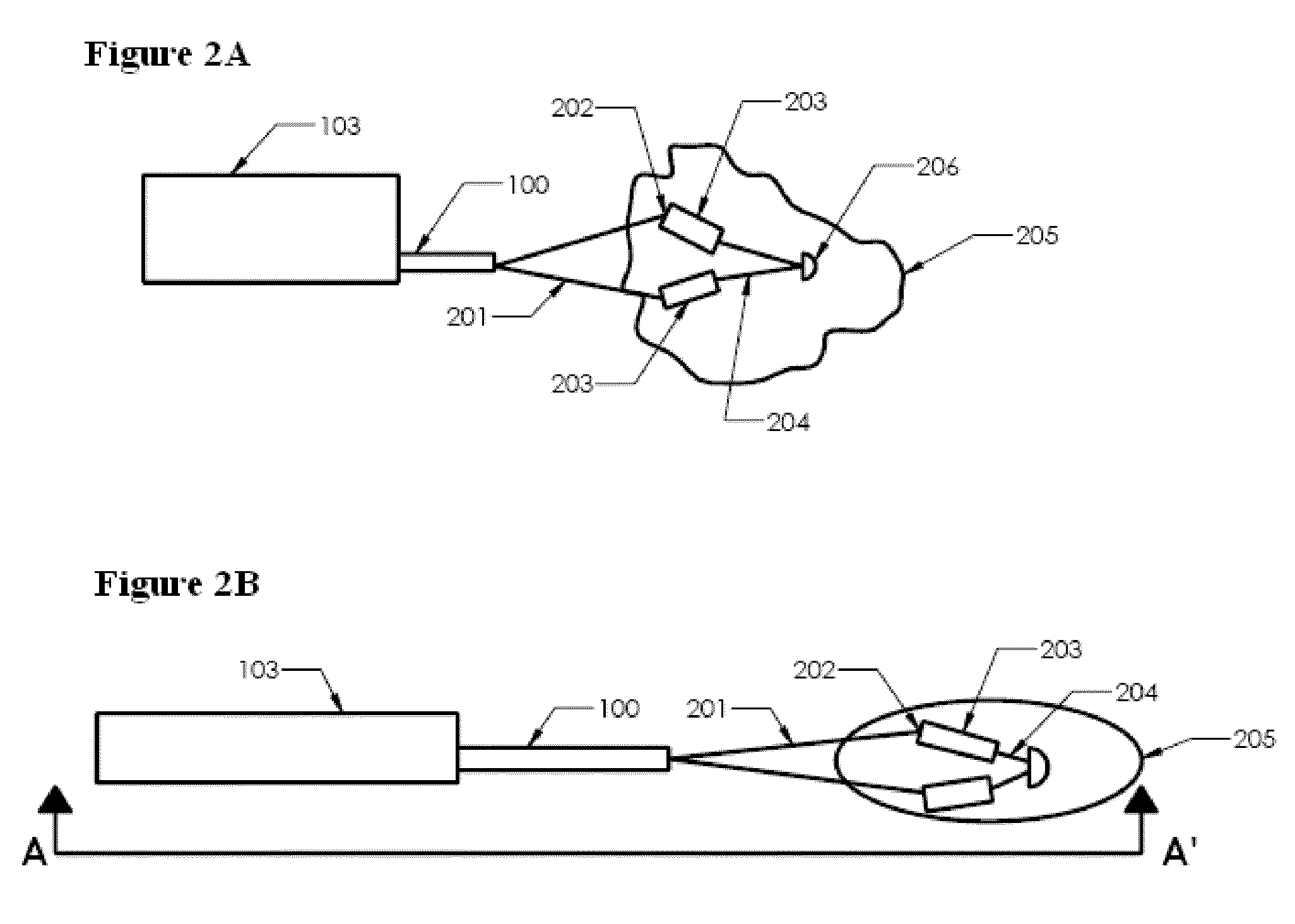 Endoscopic system for lung biopsy and biopsy method of insufflating gas to collapse a lung