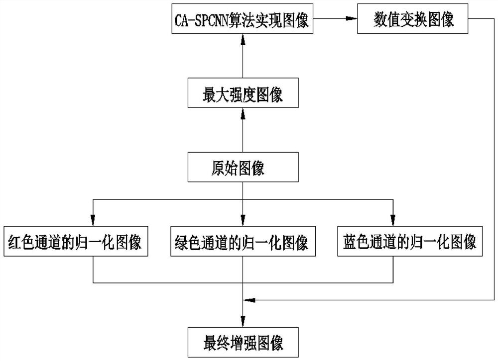 An Image Enhancement Algorithm Based on ca-spcnn