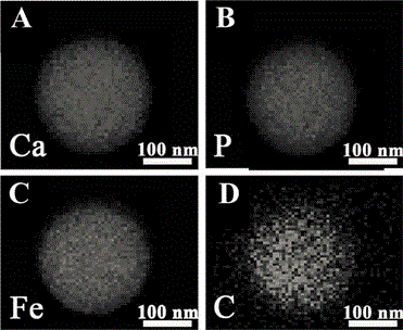 Method for preparing carbon/calcium phosphate/ferroferric oxide composite structured nano particles