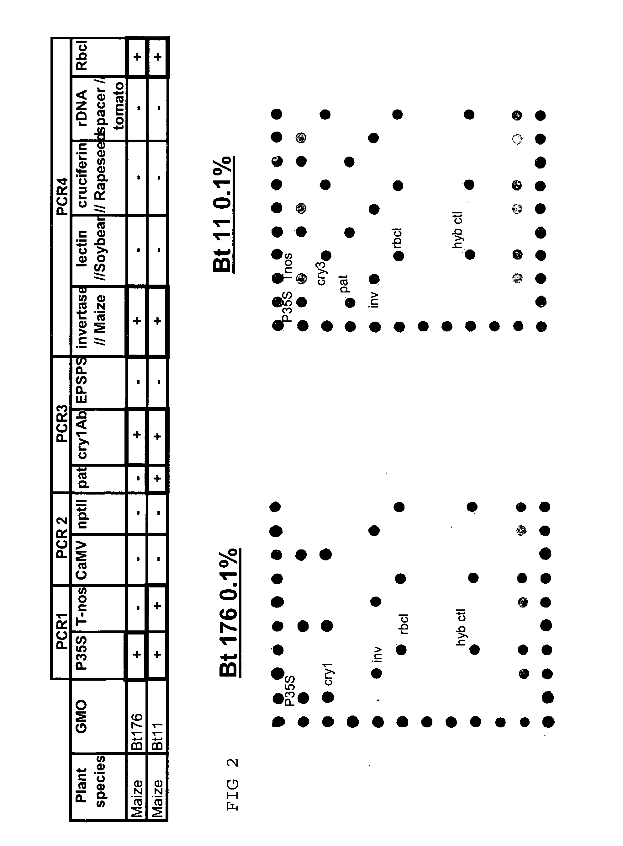 Identification and/or quantification method of nucleotide sequence (s) elements specific of genetically modified plants on arrays