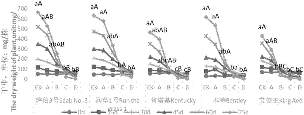 Environment testing method for detecting shade-tolerant ability of gramineous plant under imitated forest