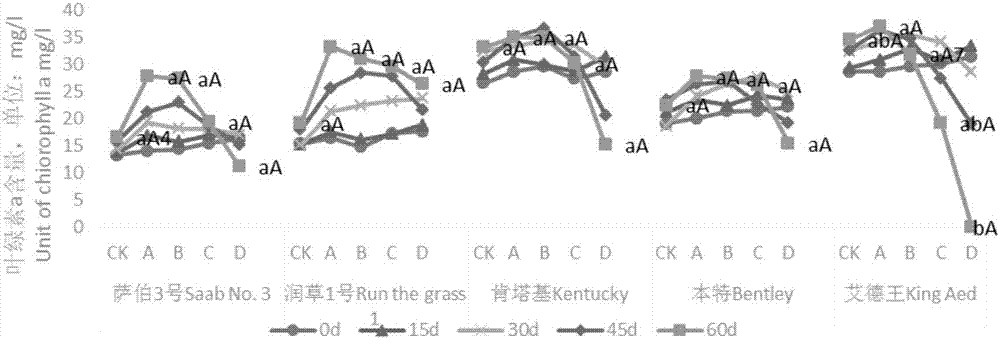 Environment testing method for detecting shade-tolerant ability of gramineous plant under imitated forest