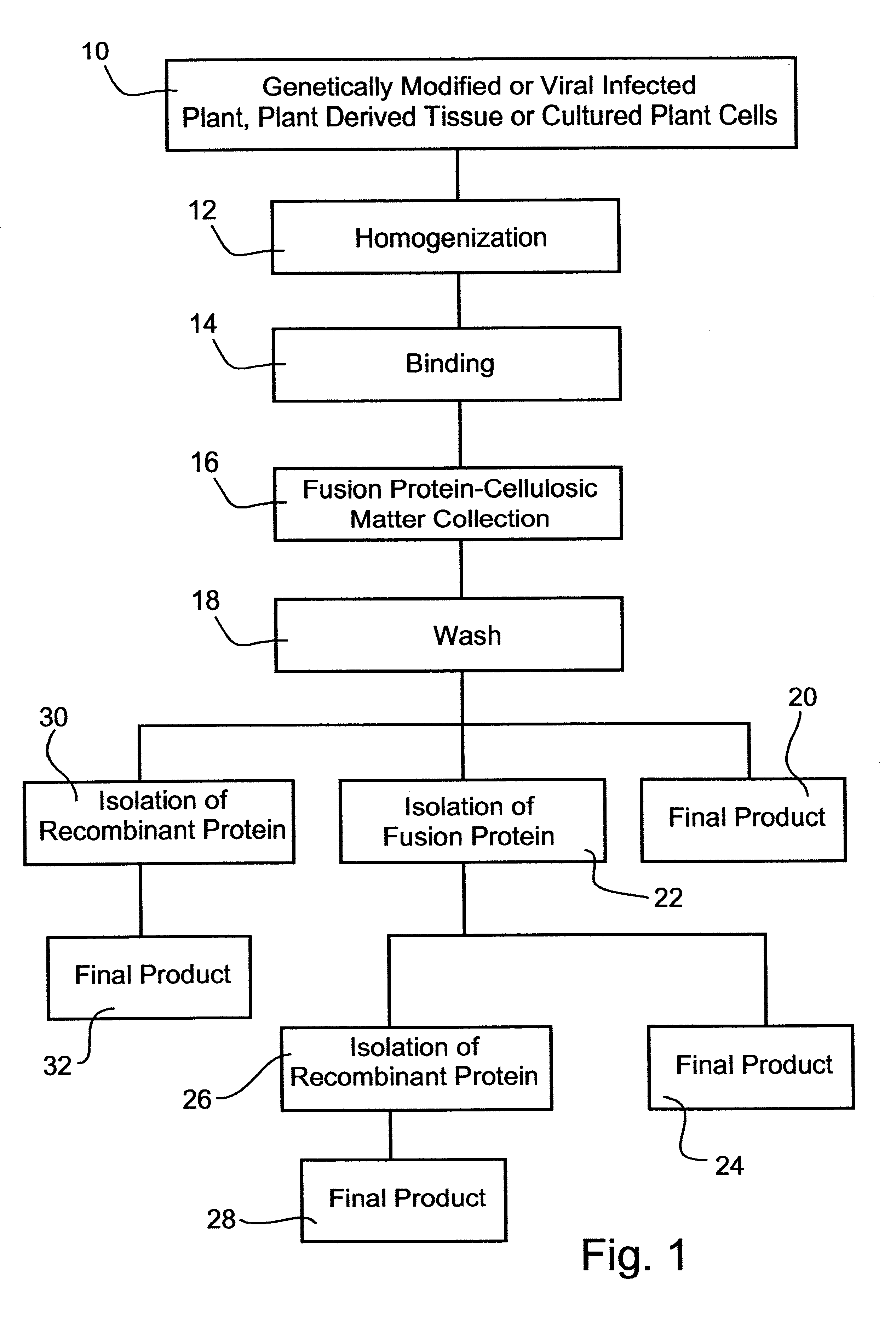 Process of expressing and isolating recombinant proteins and recombinant protein products from plants, plant derived tissues or cultured plant cells
