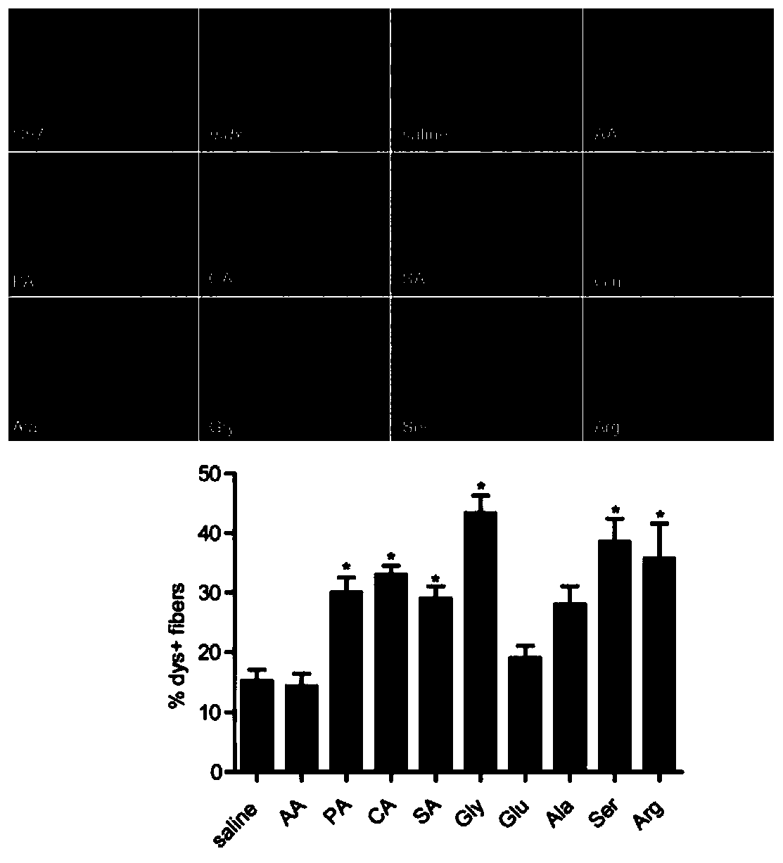 Use of glycine in aspect of preparation of drug delivery reinforcer and cell transplantation reagent