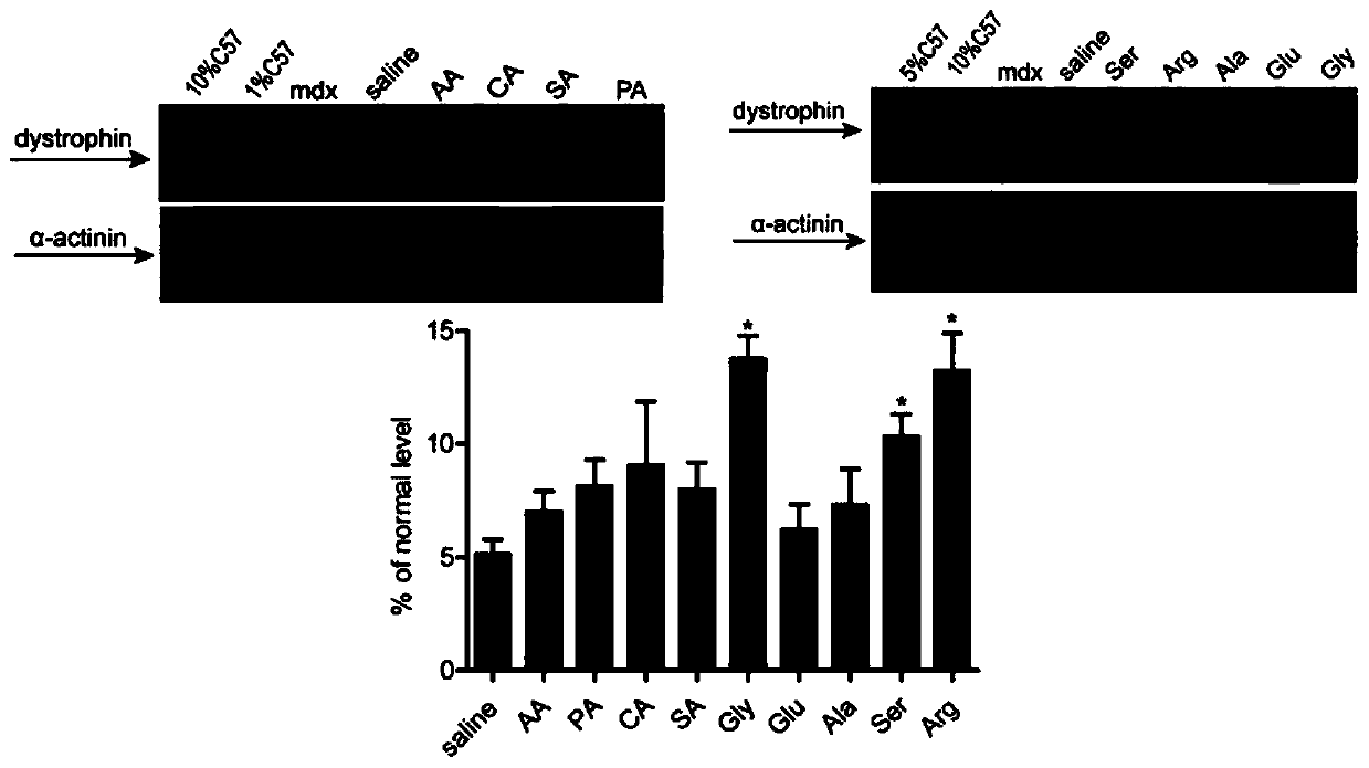 Use of glycine in aspect of preparation of drug delivery reinforcer and cell transplantation reagent