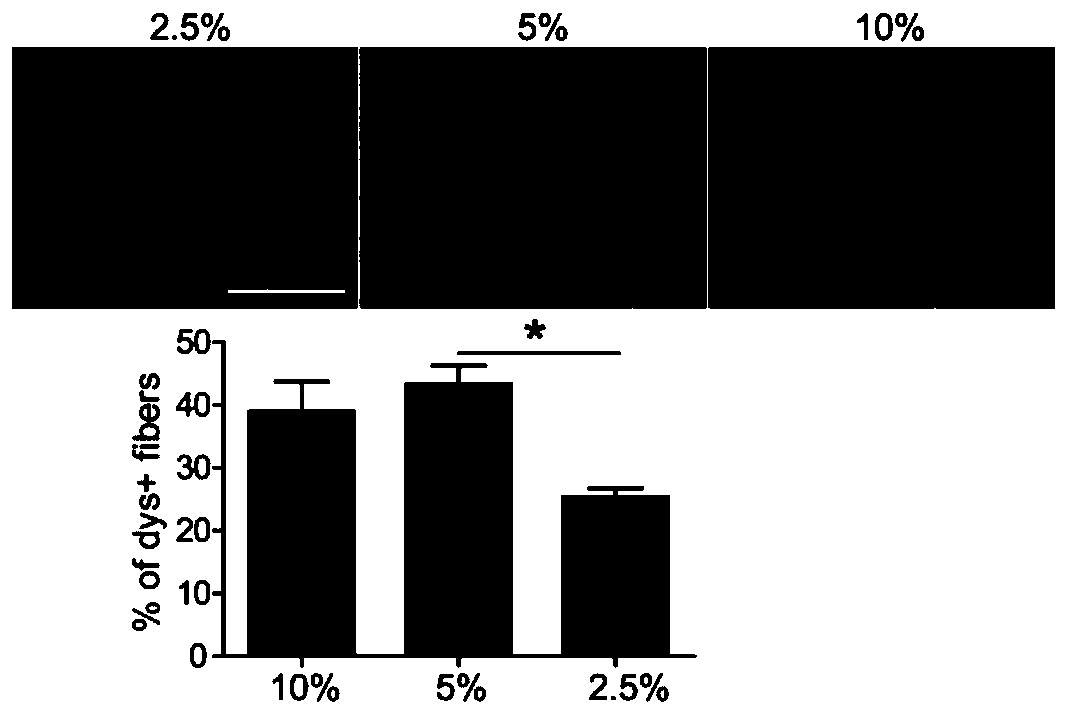 Use of glycine in aspect of preparation of drug delivery reinforcer and cell transplantation reagent