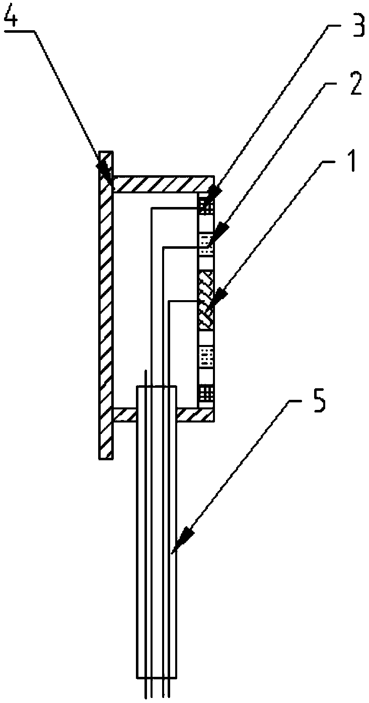 Coating failure monitoring probe and rapid field coating failure monitoring method