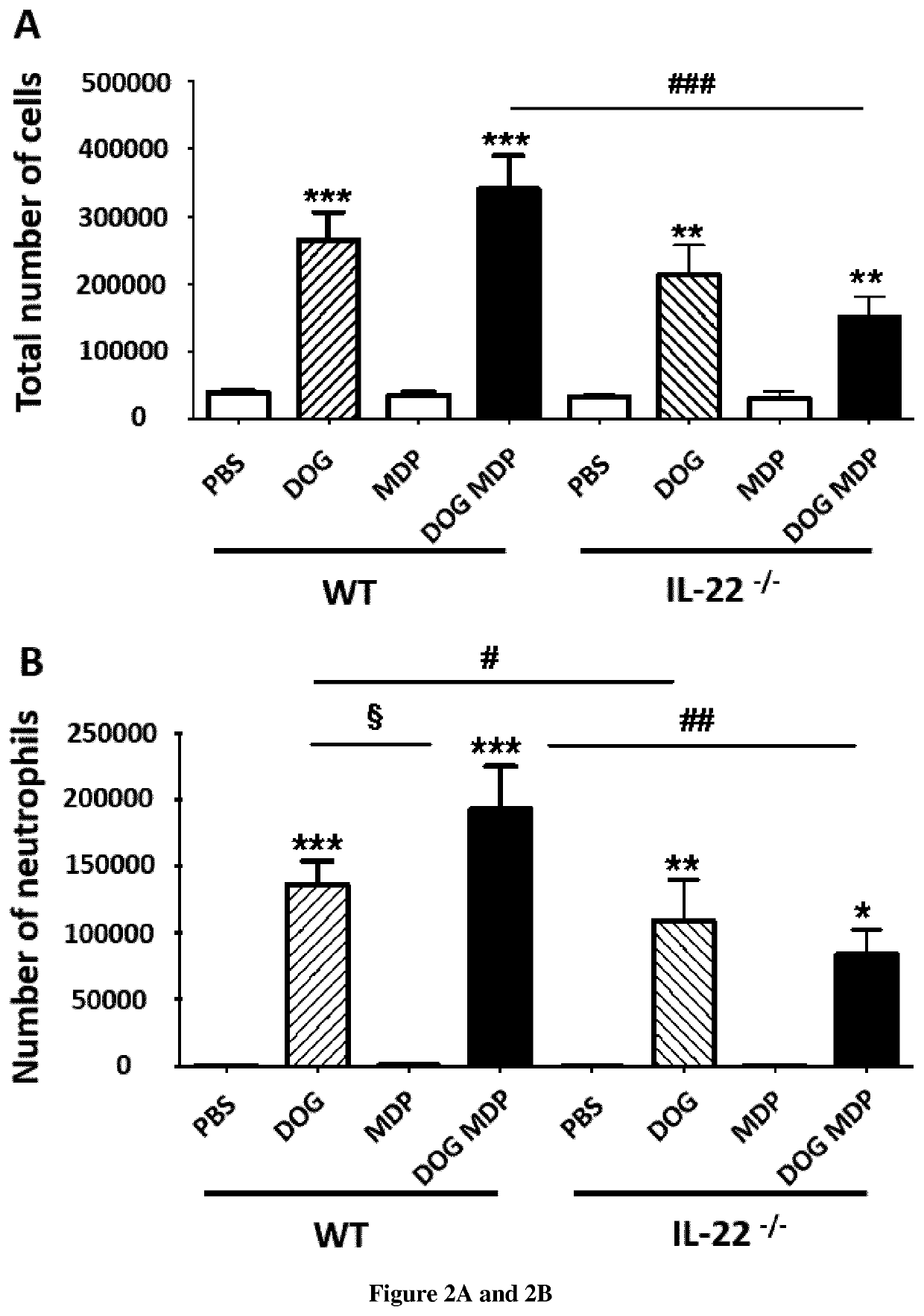 Use of antagonists of th17 cytokines for the treatment of bronchial remodeling in patients suffering from allergic asthma