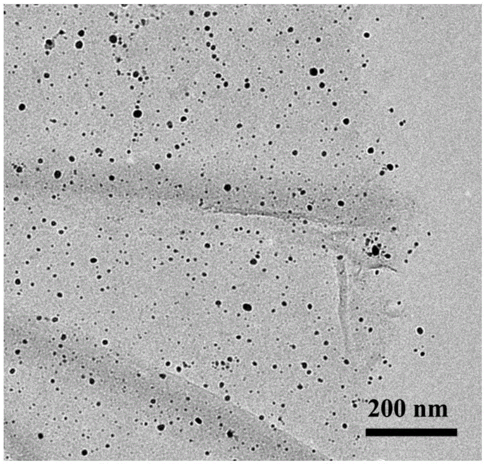 Nano-silver/graphene composite material and preparation method thereof