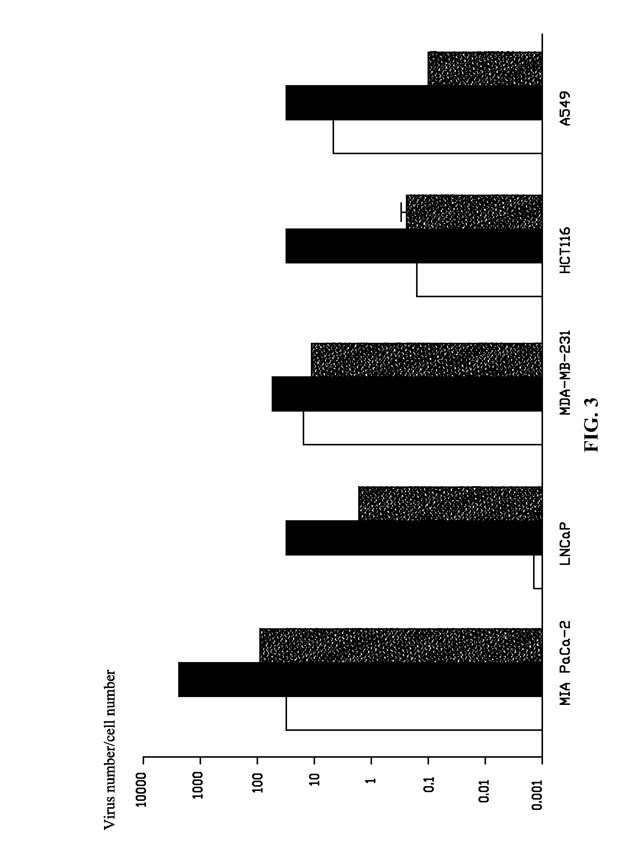 Subgroup B recombinant human adenovirus vector, and methods for constructing and for using the same