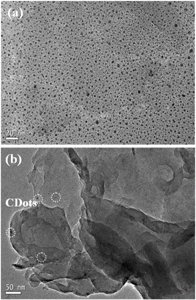 Carbon dot and graphite phase carbon nitride compound photocatalyst as well as preparation method and application thereof