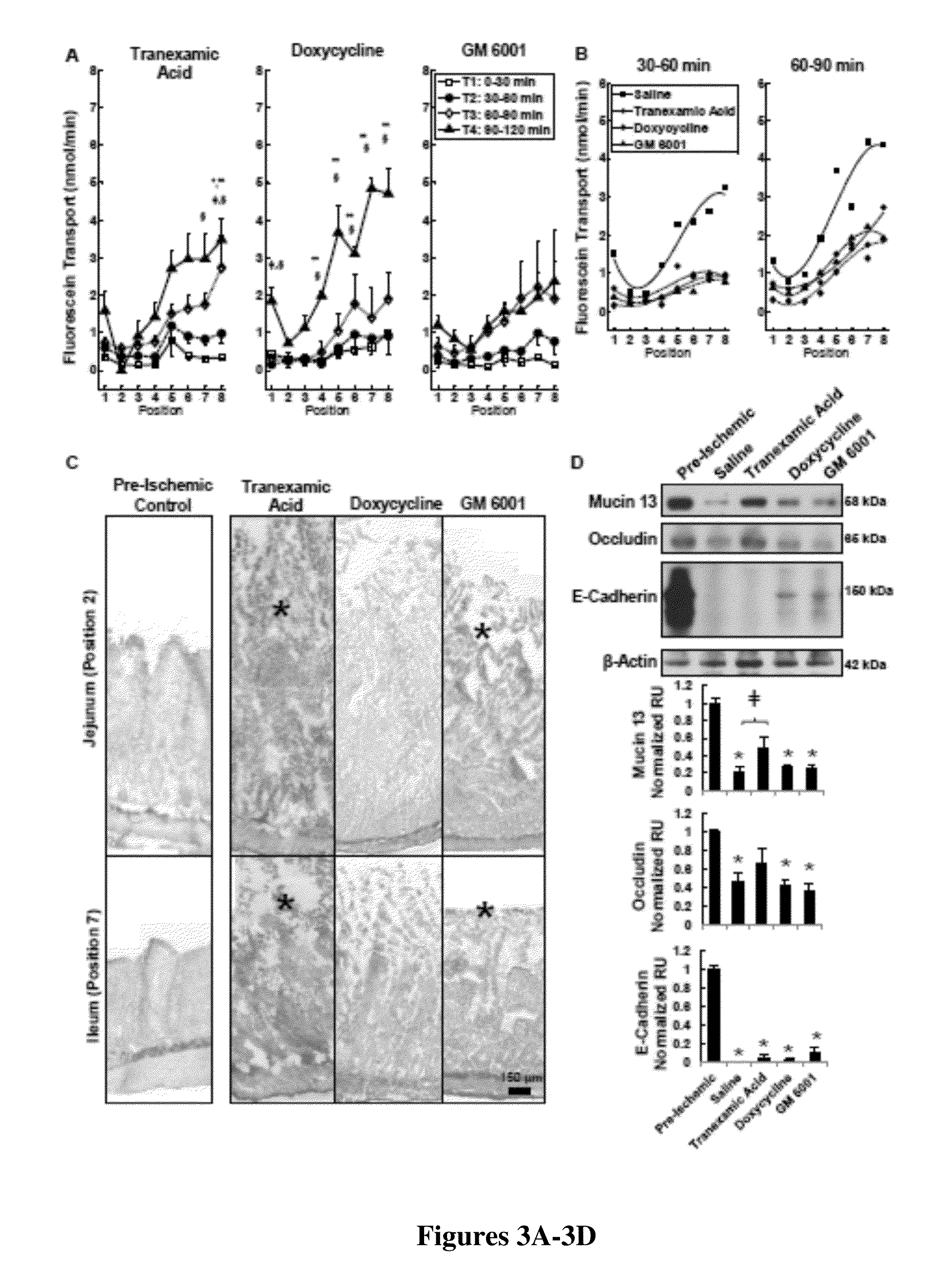Methods and compositions for preserving the mucosal barrier