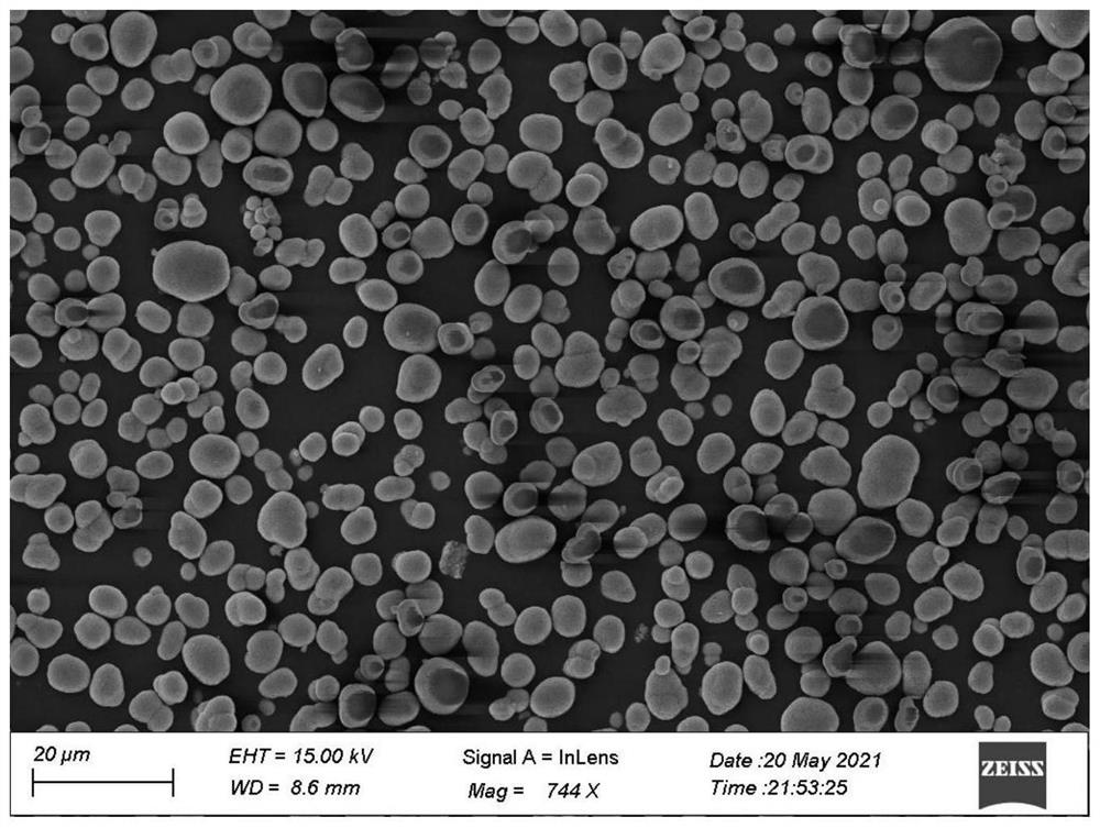 Preparation method and application of nickel-rich cobalt-free single crystal positive electrode material of lithium ion battery
