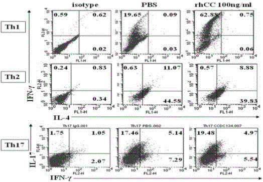 Application of human cytokine ccdc134 in autoimmune diseases