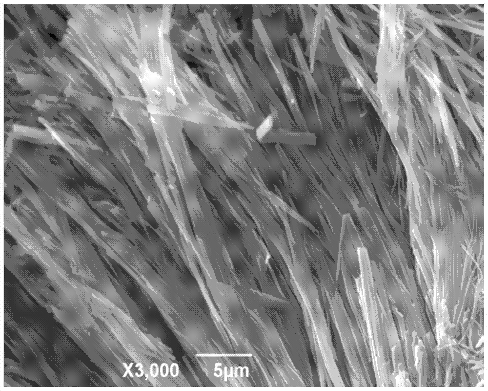 A preparation method of mesoporous carbon fiber material assembled with hollow nanocarbon spheres