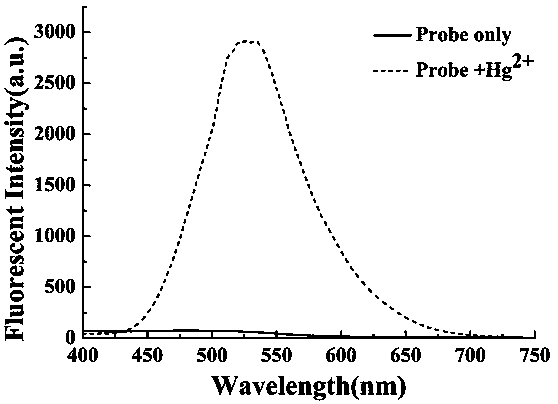 Preparation method and application of turn-on type mercury ion fluorescence probe
