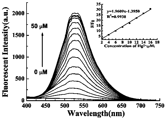 Preparation method and application of turn-on type mercury ion fluorescence probe