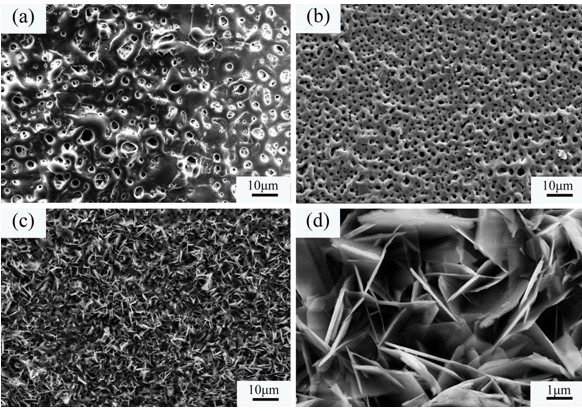 A kind of preparation method of magnesium alloy magnesium manganese hydrotalcite/micro-arc oxidation corrosion-resistant coating