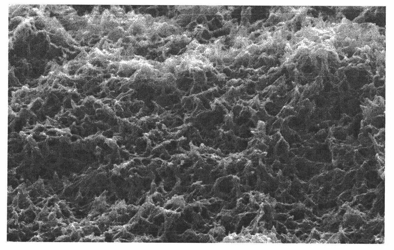 Hollow polyester fiber microporous membrane and preparation method thereof