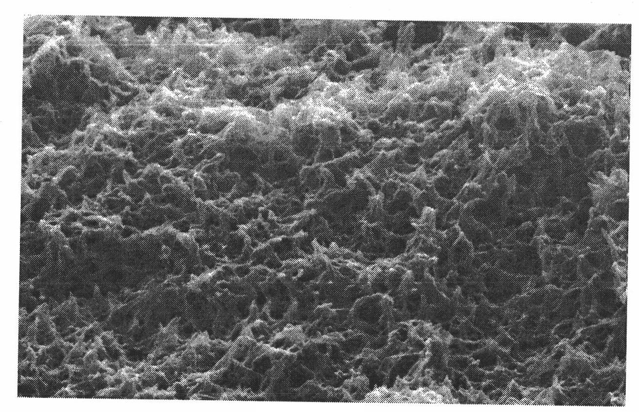 Hollow polyester fiber microporous membrane and preparation method thereof