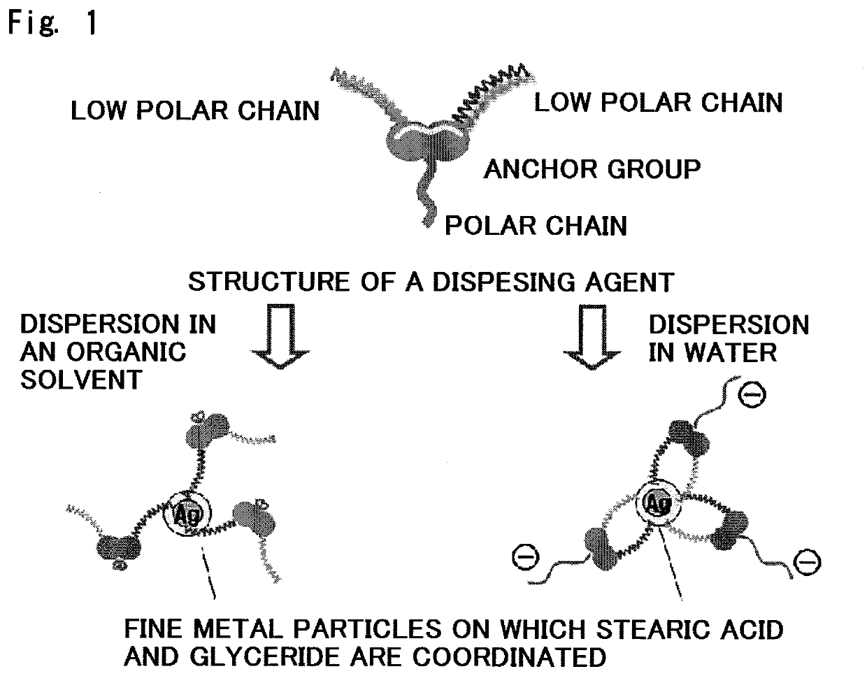 Fine metal particles, dispersion solution containing fine metal particles, and process for the production thereof