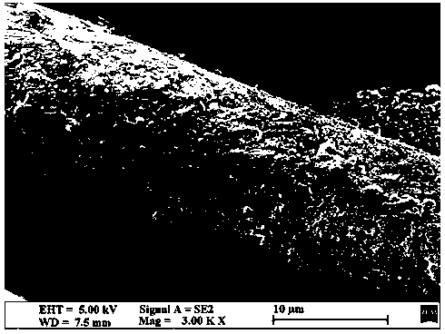 One-step in-situ synthesis method for preparing binary denitrification and anti-sulfur catalyst-loaded filter material