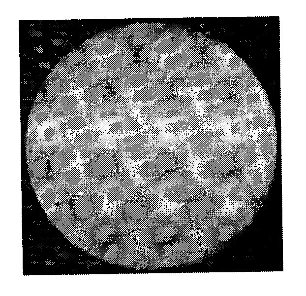 Method for depositing photoinduced graphene onto fiber end surfaces