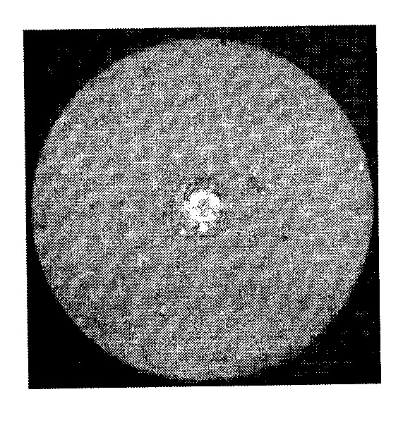 Method for depositing photoinduced graphene onto fiber end surfaces