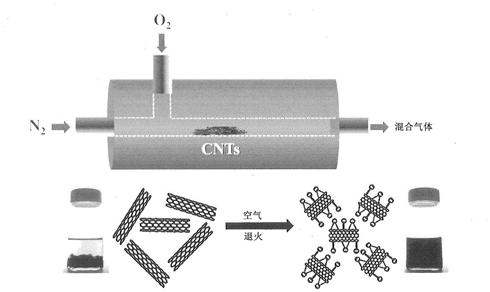 Method of functionalizing surfaces of carbon nanomaterials