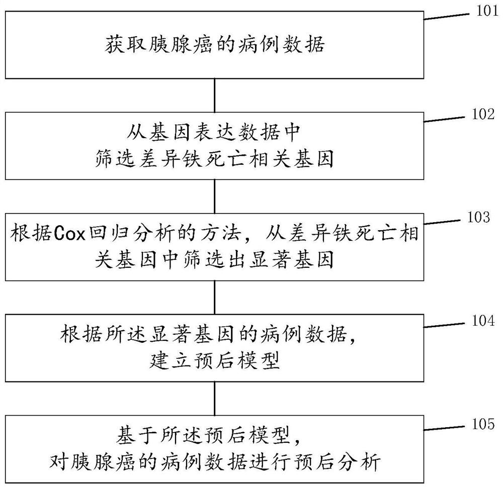 Pancreatic cancer prognosis analysis method, system and device based on ferroptosis related genes