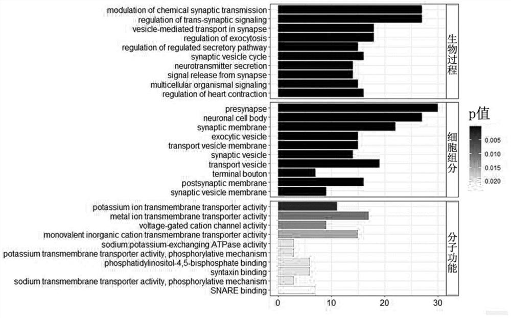 Pancreatic cancer prognosis analysis method, system and device based on ferroptosis related genes