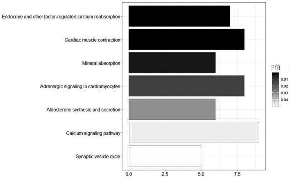 Pancreatic cancer prognosis analysis method, system and device based on ferroptosis related genes