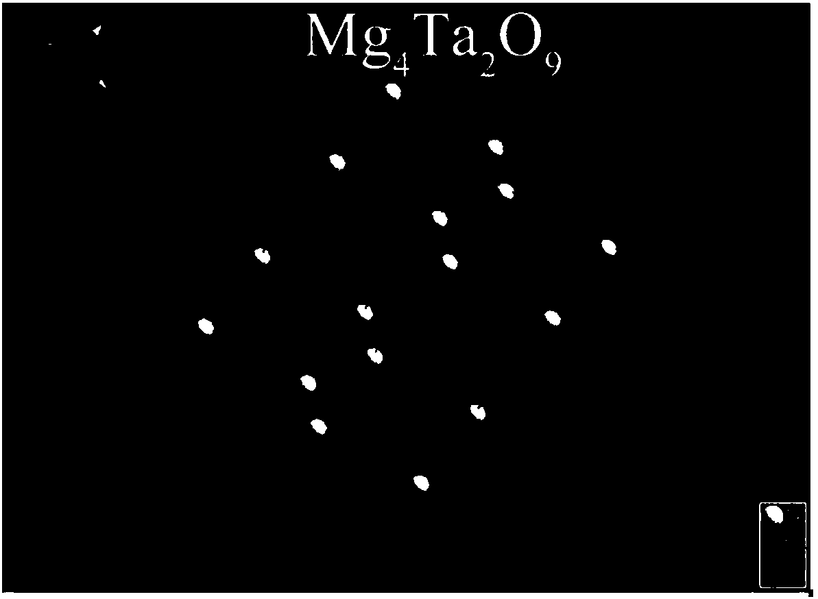 Intrinsic luminescent scintillation crystal magnesium tantalum oxide, and preparation method and use thereof