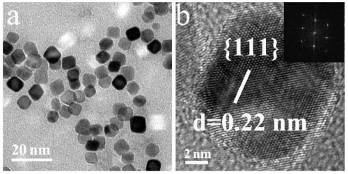 Applications of Palladium Nanomaterials