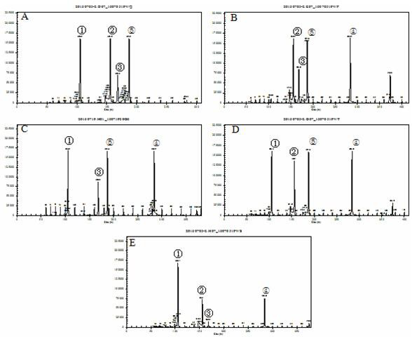 Composition, kit and method for identifying deer species by gexp multiplex PCR