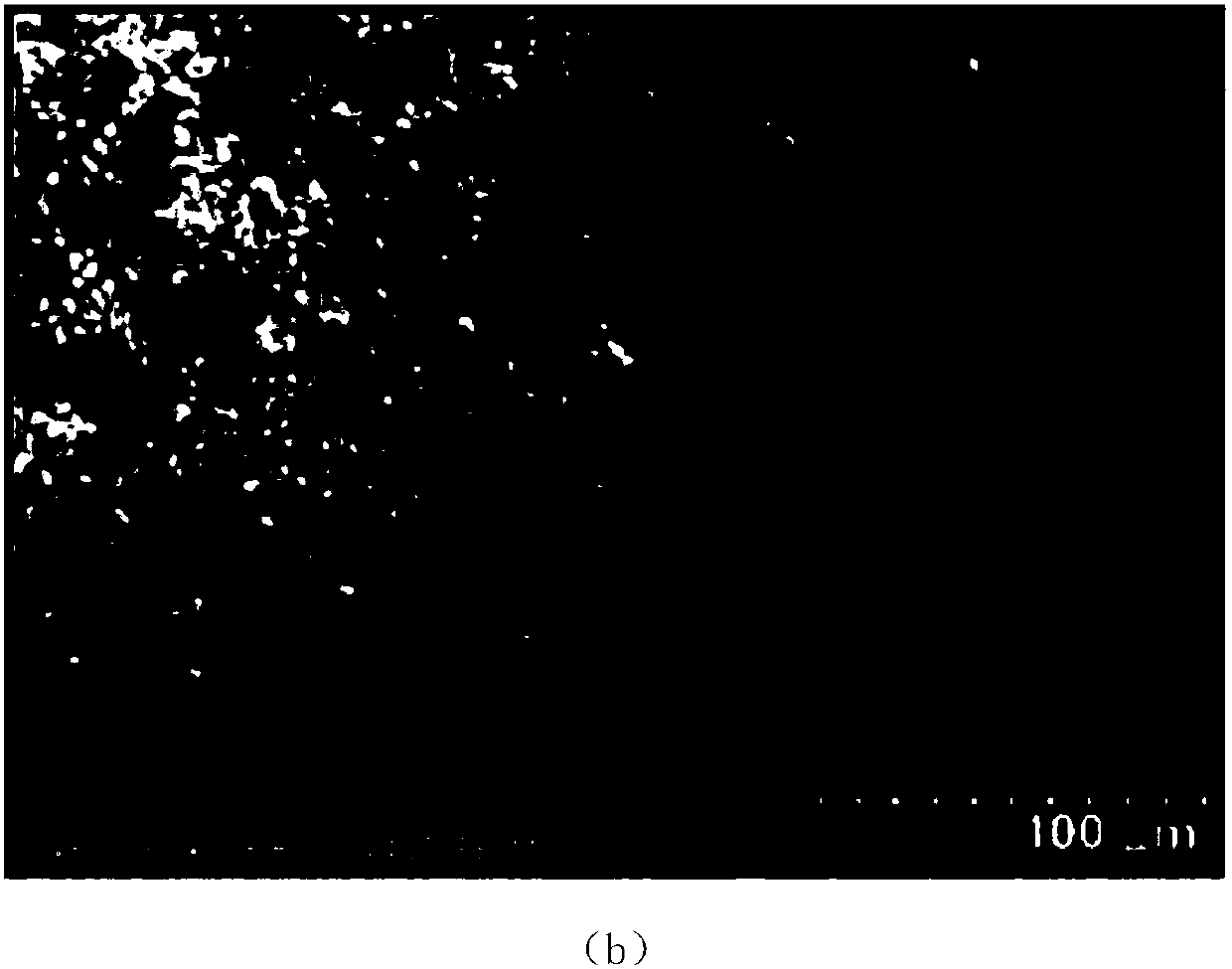 Water-based inorganic environment-friendly coating and preparation method thereof