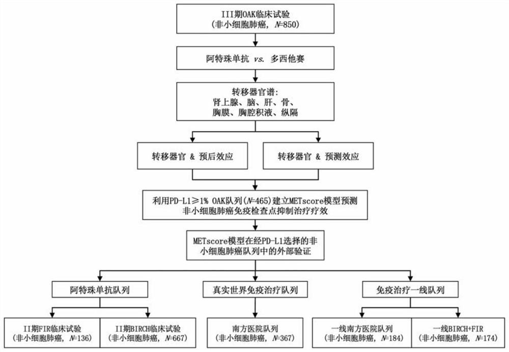 Construction method and application of prediction model for non-small cell lung cancer immune checkpoint inhibition treatment effect based on organ metastasis spectrum