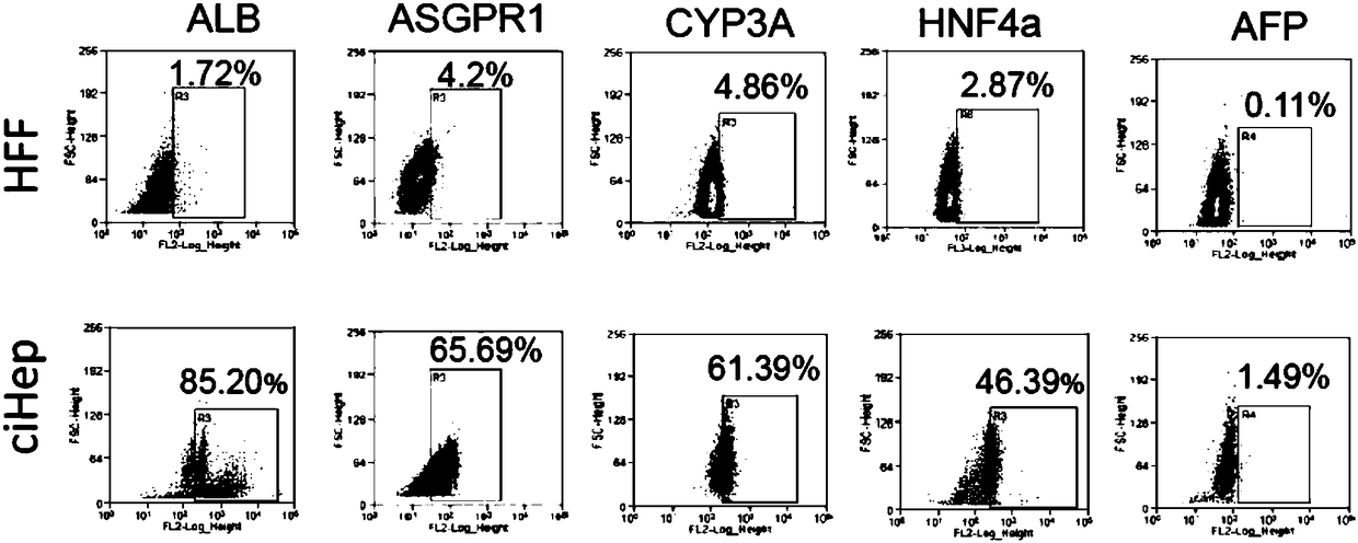 Method for inducing direct reprogramming of human fibroblasts into hepatic cells by small molecules