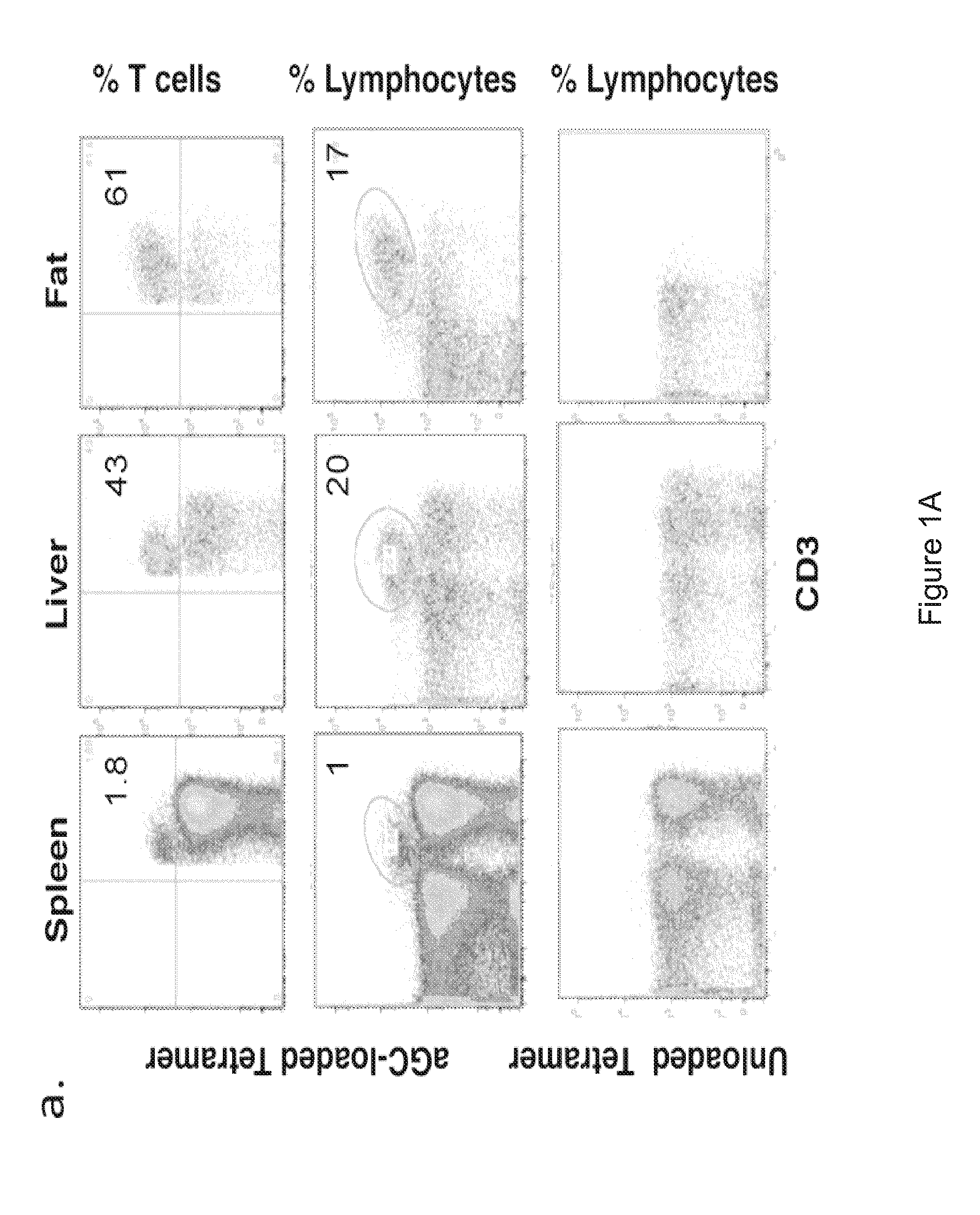 Methods and compositions for treatment of metabolic disorders