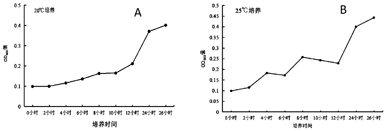 Composite microbial inoculum for degrading high-ammonia nitrogen sewage and application of composite microbial inoculum to sewage treatment