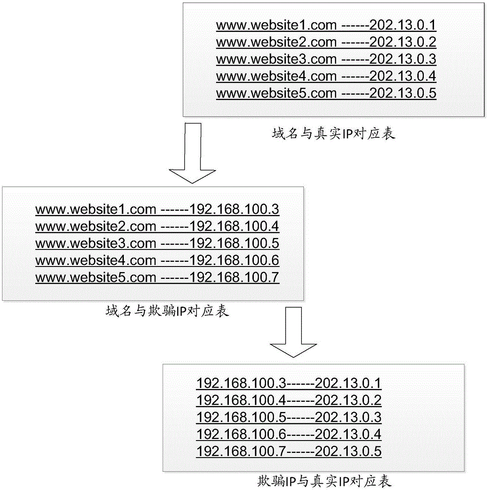 HTTPS data flow auditing method and system oriented on operator backbone network