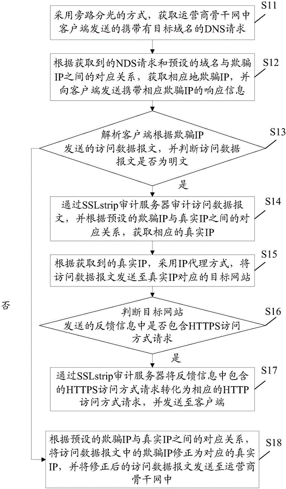 HTTPS data flow auditing method and system oriented on operator backbone network